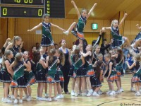 Flames_D2-Basket2000-Wiener_Finale_2013-20130511_150838